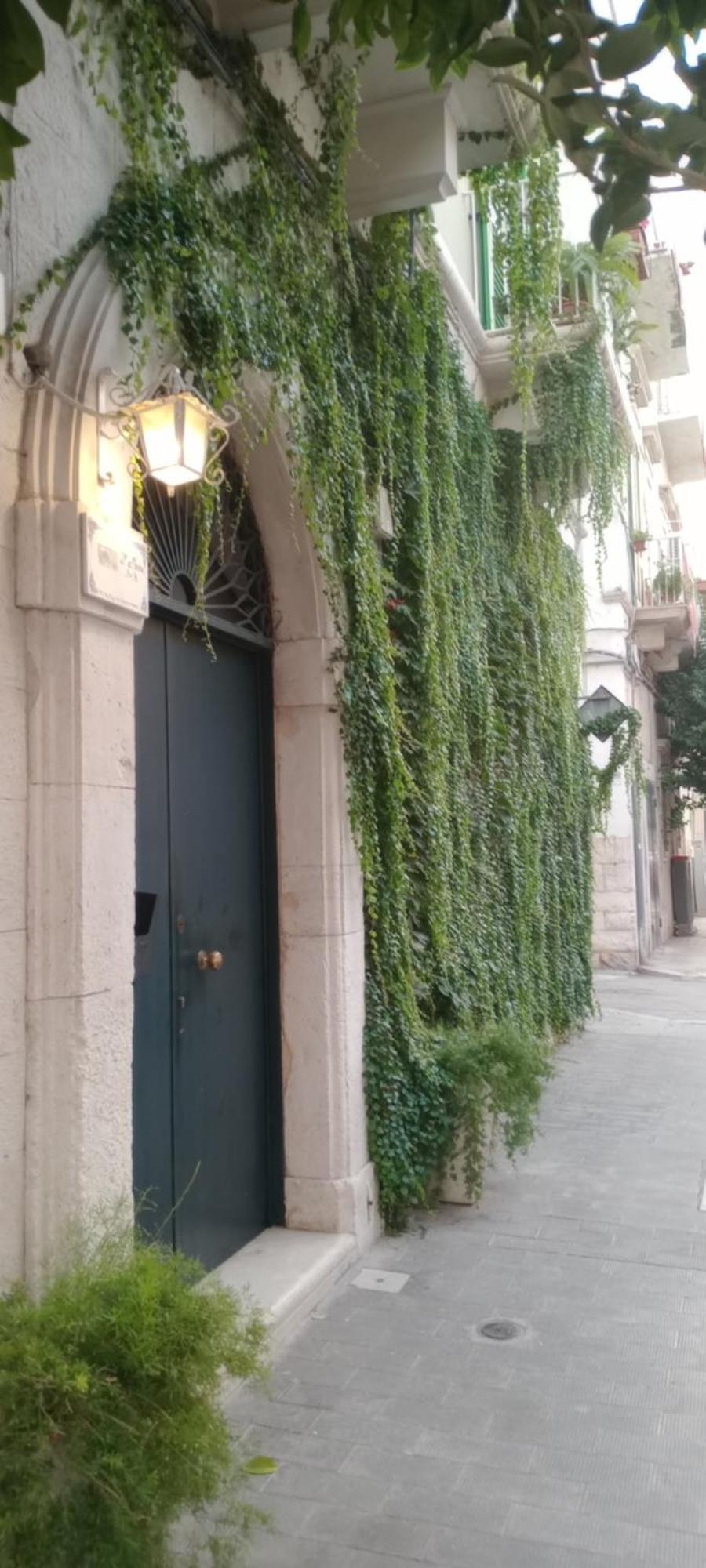 Bed and Breakfast Altana Di Tufo Molfetta Zewnętrze zdjęcie